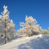 WP 20161202 10 25 05 Pro  highres