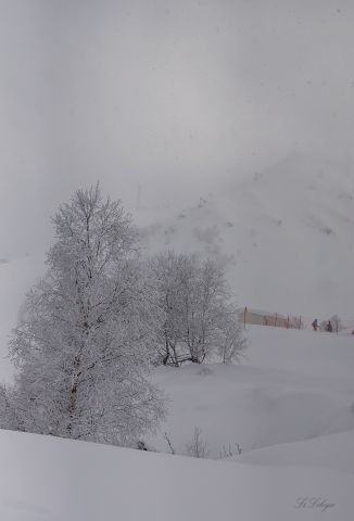 Утро 2.02.17 на Розе