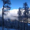 IMG 20170110 123932