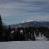 IMG 8565