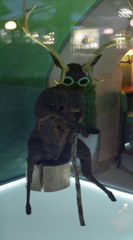 IMG 4742