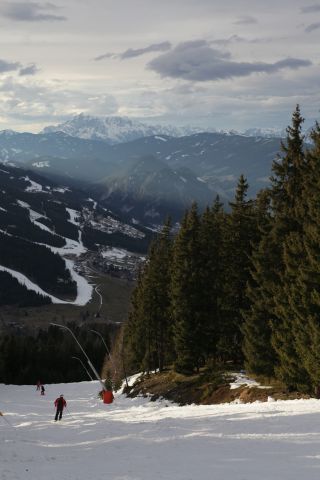 IMG 4731
