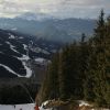 IMG 4731