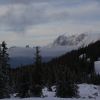 IMG 4817