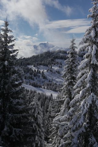 IMG 4644