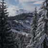 IMG 4644