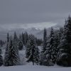 IMG 4626