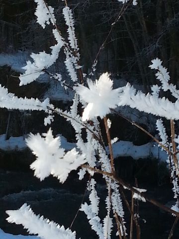 20150108 134439