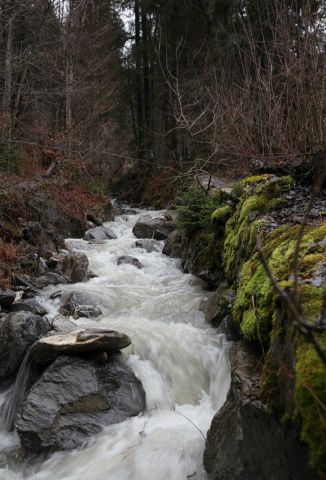 IMG 7183