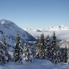IMG 7485