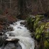 IMG 7183