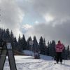 IMG 7318