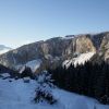 IMG 7510