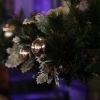 IMG 7480