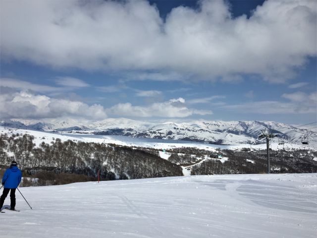 IMG 0080