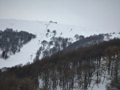 IMG 0073
