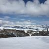 IMG 0080