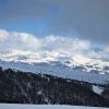 IMG 0097