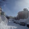 Снежный бульвар.