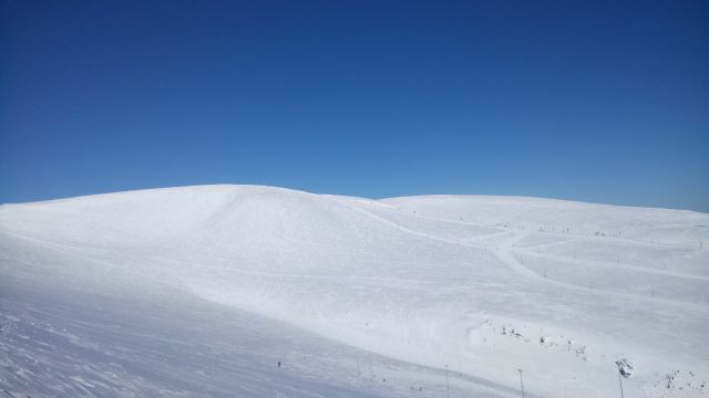 На Биг Вуде солнце!
