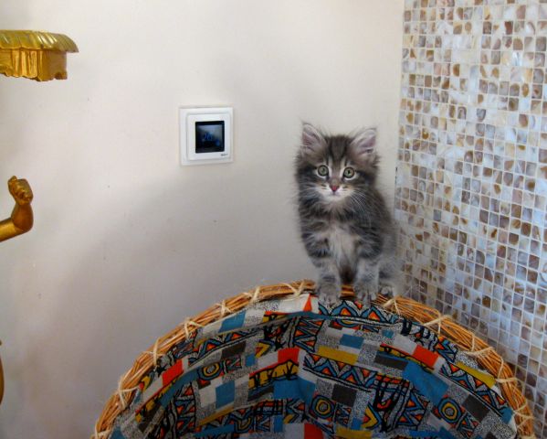 Теп пол