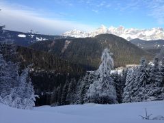 img_4786.jpg