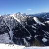 Img 4529