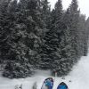 Img 4604