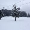 Img 4634