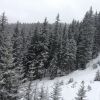Img 4583