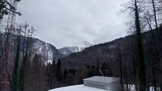 Завела -Фу на эту F- ау люди.