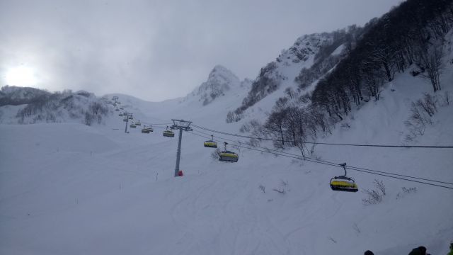 Жёлтые хлебницы.