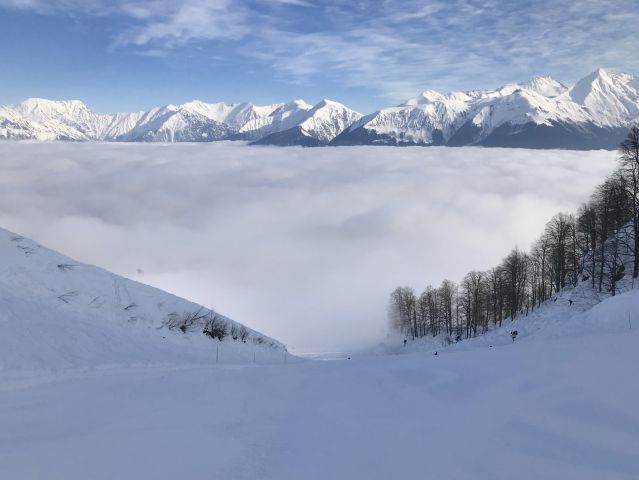 Поляна 11-18 февраля 18г