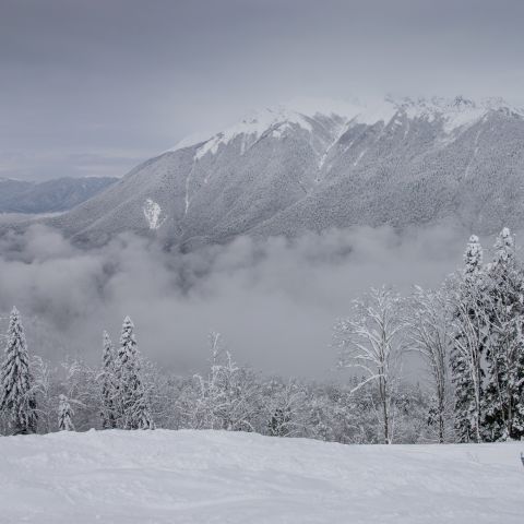 Поляна 11-18 февраля 18г