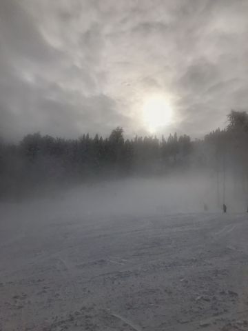 Поляна 11-18 февраля 18г