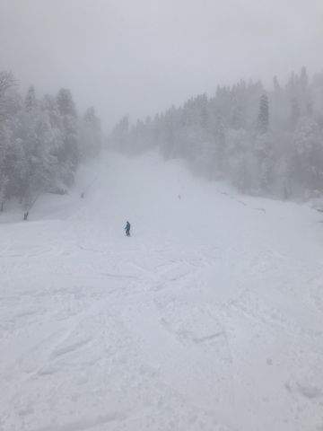 Поляна 11-18 февраля 18г