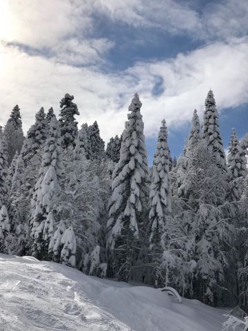 Поляна 11-18 февраля 18г