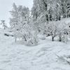 Поляна 11-18 февраля 18г