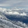 Поляна 11-18 февраля 18г