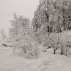 Поляна 11-18 февраля 18г