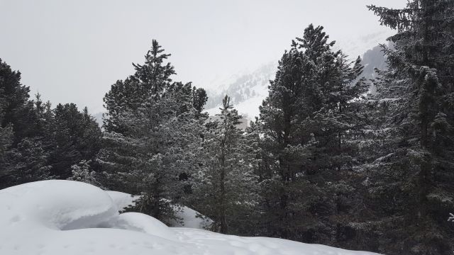 20180226 153929