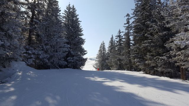 20180227 110544