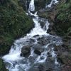 IMG 4297