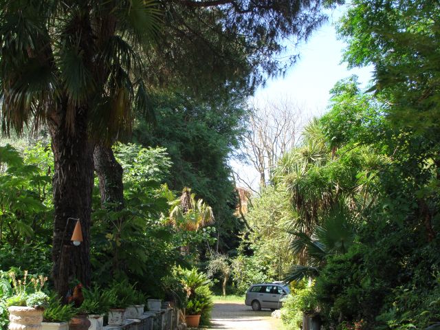 DSC07328