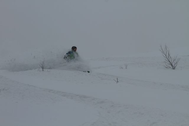 IMG 0771