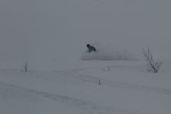 IMG 0767