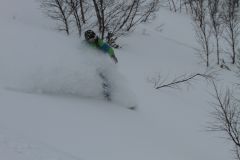 IMG 0786