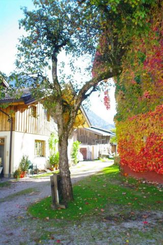 Herbst