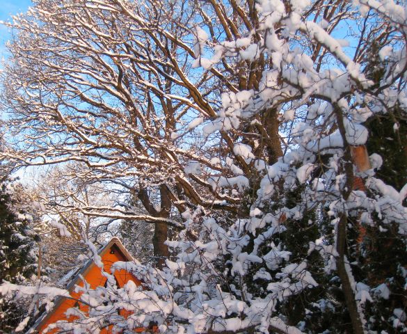 14 февр