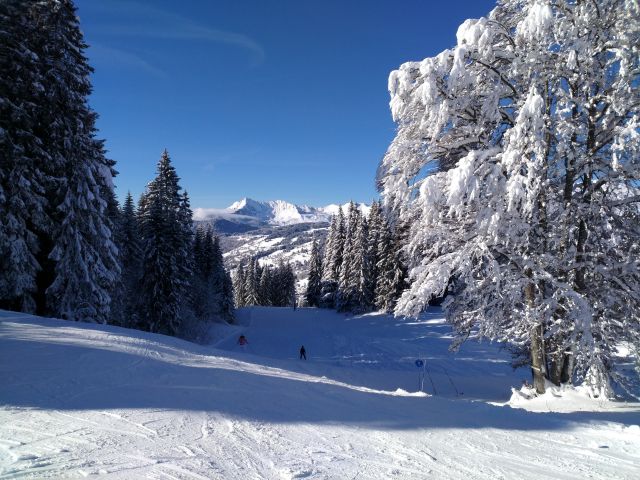 IMG 20190115 114420